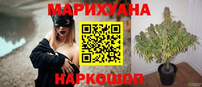 хмурый Краснодар