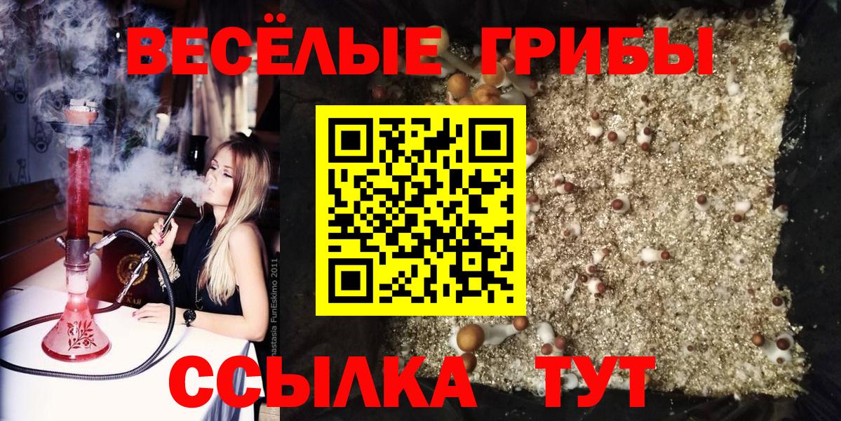 Галлюциногенные грибы GOLDEN TEACHER Карачаевск