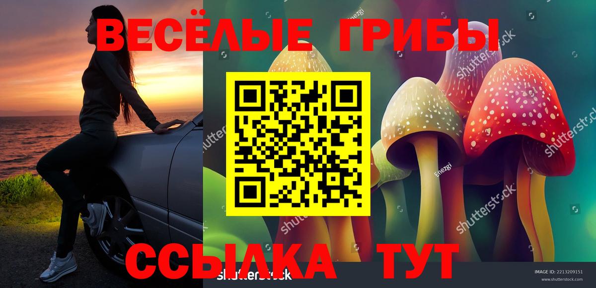 Галлюциногенные грибы мухоморы  Вход с VPN  Карачаевск 